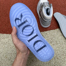 Nike Air Jordan 1 Retro High 'Dior'