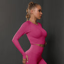 Conjunto Feminino 2 Peças - Fato de Ginásio Sem Costura